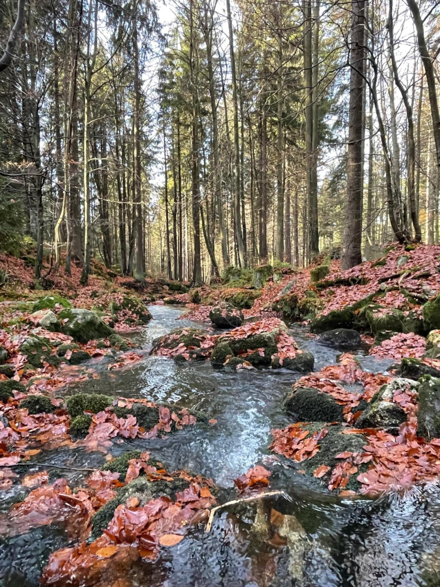 Chalupa U Krize Harrachov Luaran gambar